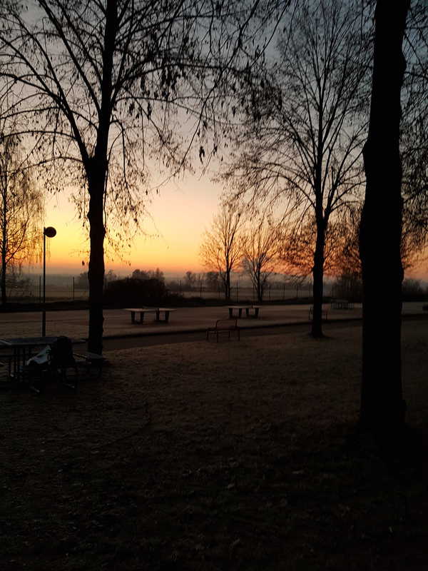 Morgenstimmung