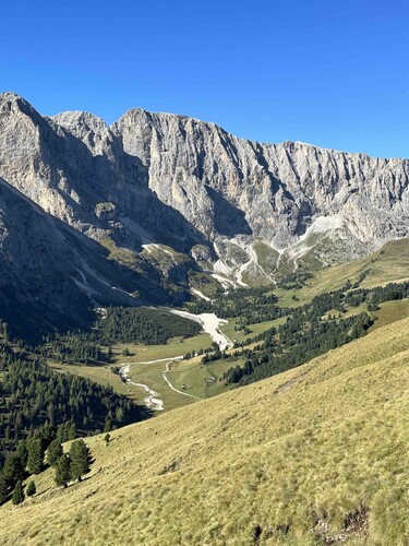Ausblick