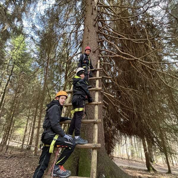 7c Baum klettern